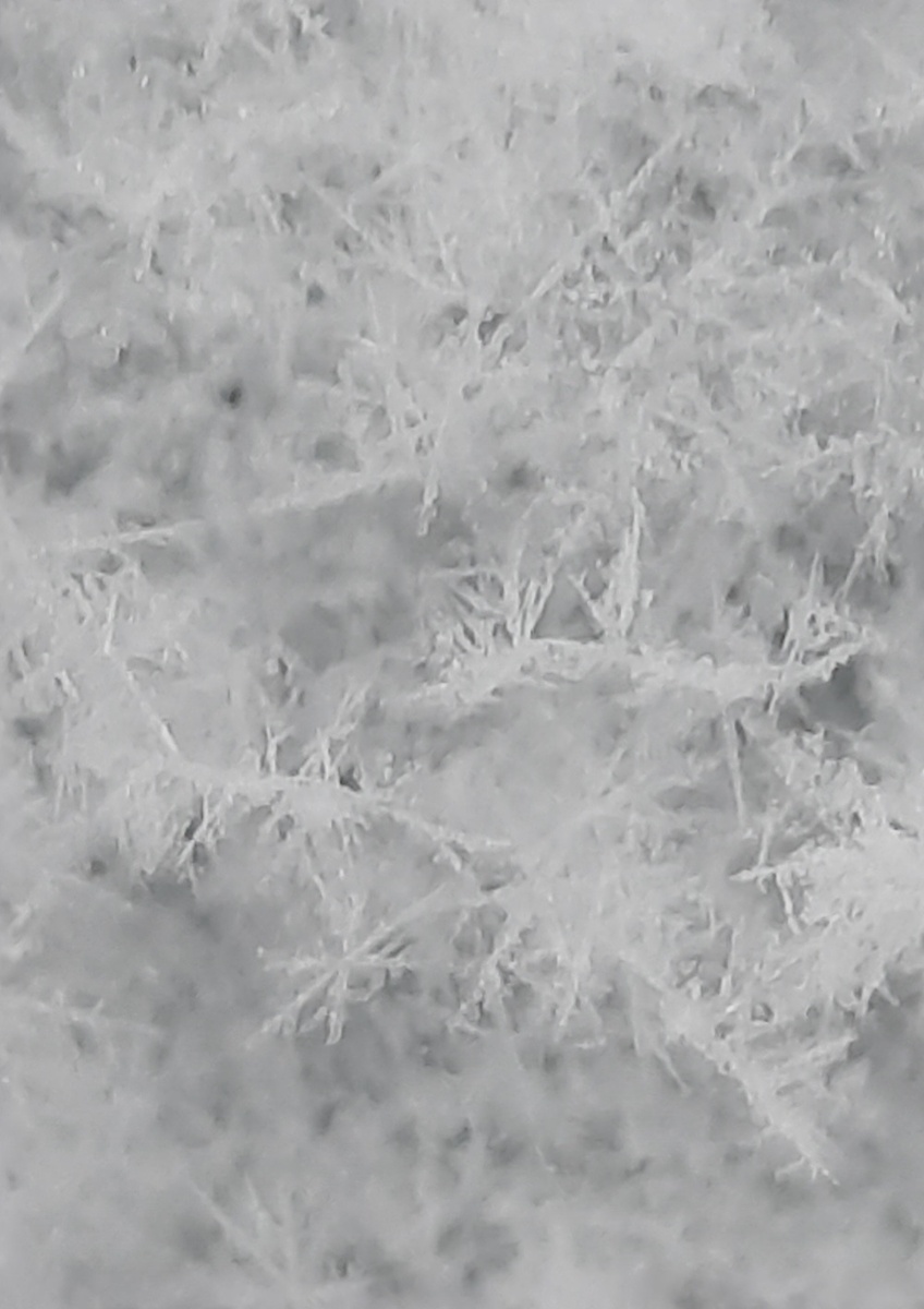 Белые снежинки. Фото автора 