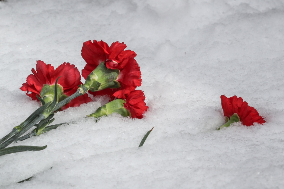    Сергей Булкин/NEWS.ru