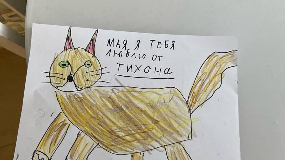 Когда любовь терпелива: как «неконтактная» кошка покорила новый дом (и маленького хозяина)