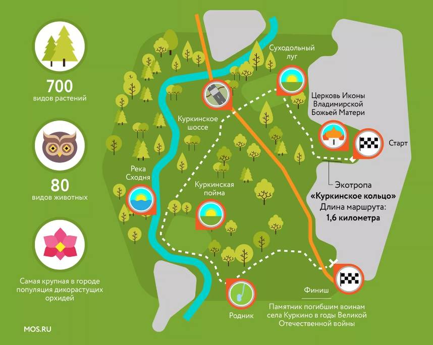 На мос.ру даже есть эко-тропа по парку. Маршрут на весну построен. Источник: https://www.mos.ru/mayor/infographic/142291/