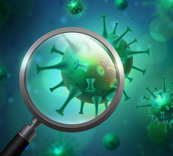 Авидность антител: как определить стадию инфекции?