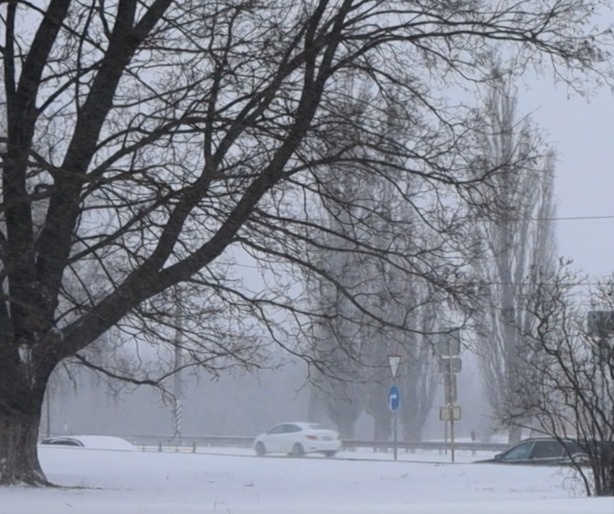    Фото: Администрация Новошахтинска Редактор