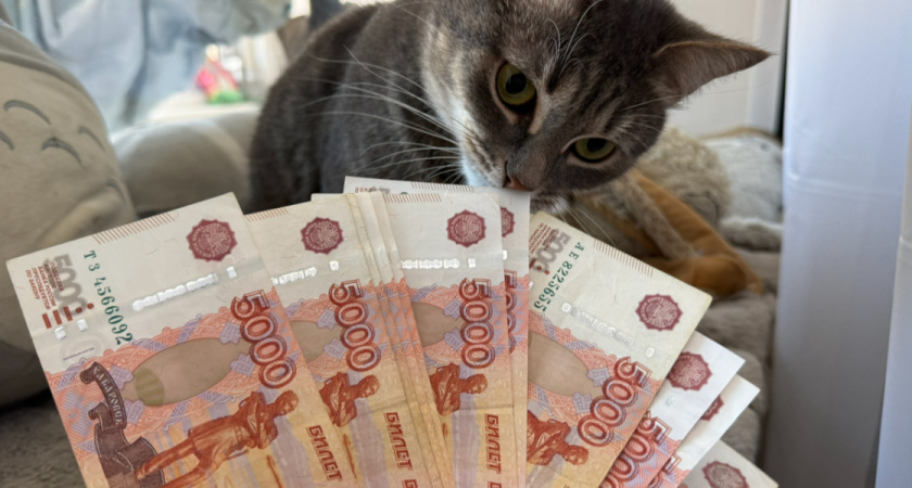    Автор фото — Анастасия Козлова