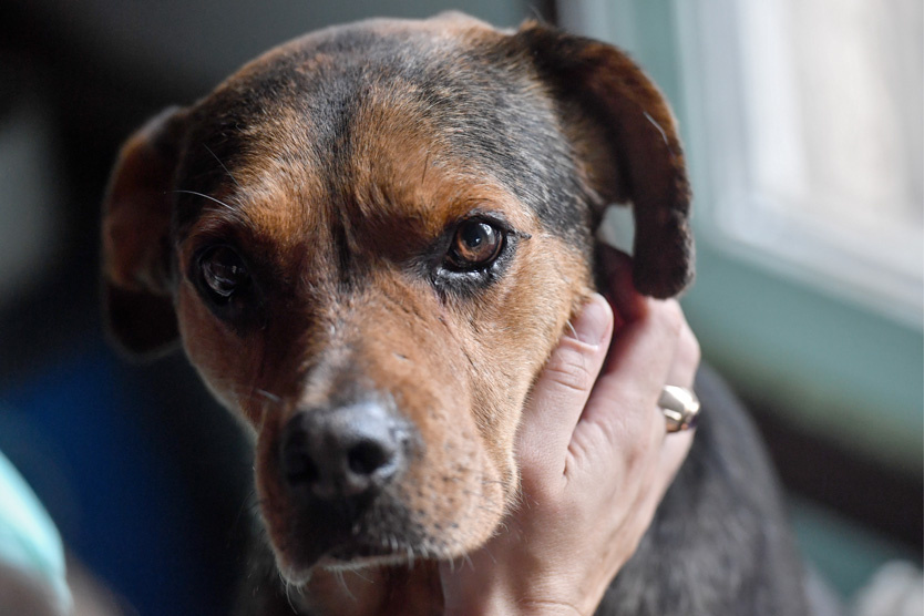     Фото: Кирилл Кухмарь / ТАСС