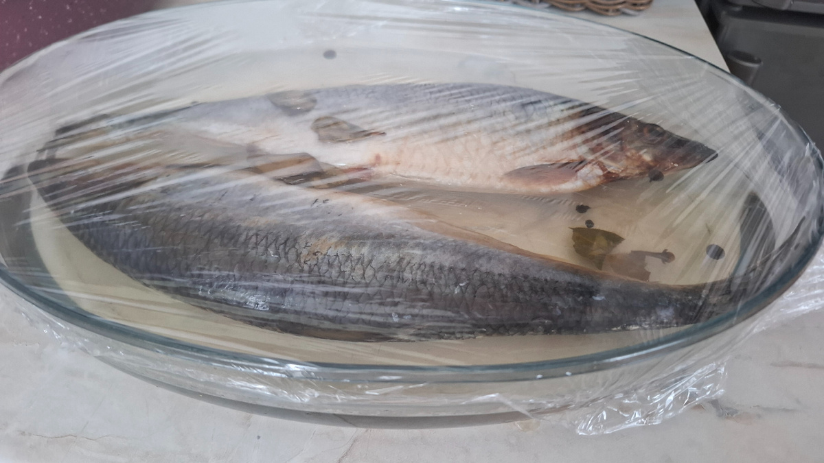 Приготовила тузлук со специями, остудила и залила им селедку. Теперь рыба будет солиться 3 дня в холодильнике.