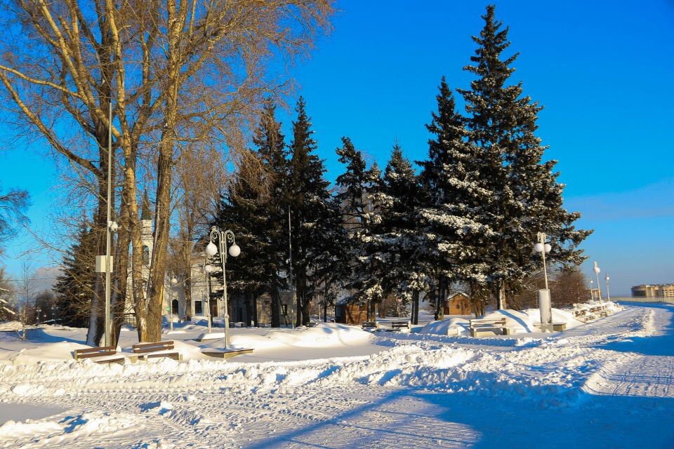    Мороз. Погода. Зима. Нагорный парк.. Источник: Виталий Барабаш