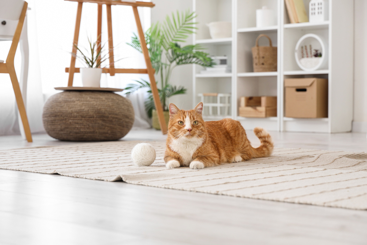 Фото: Shutterstock