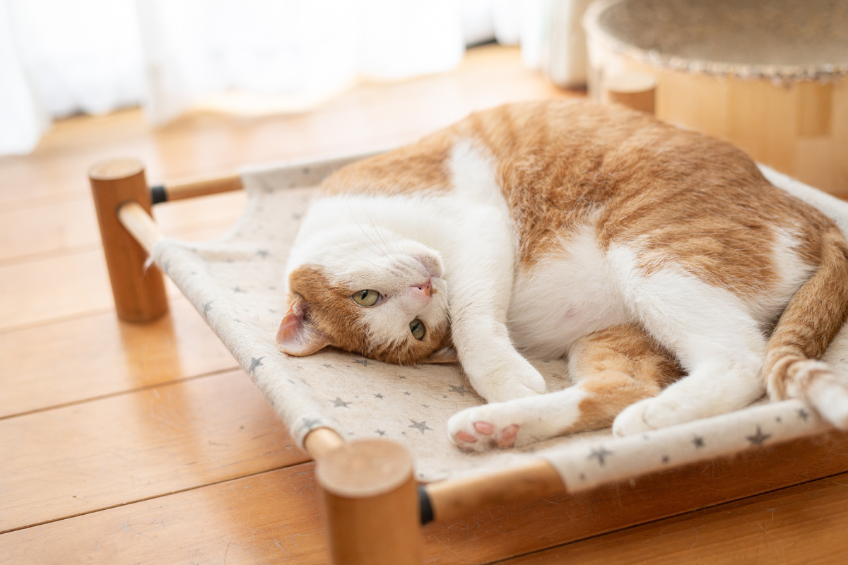 Фото: Shutterstock