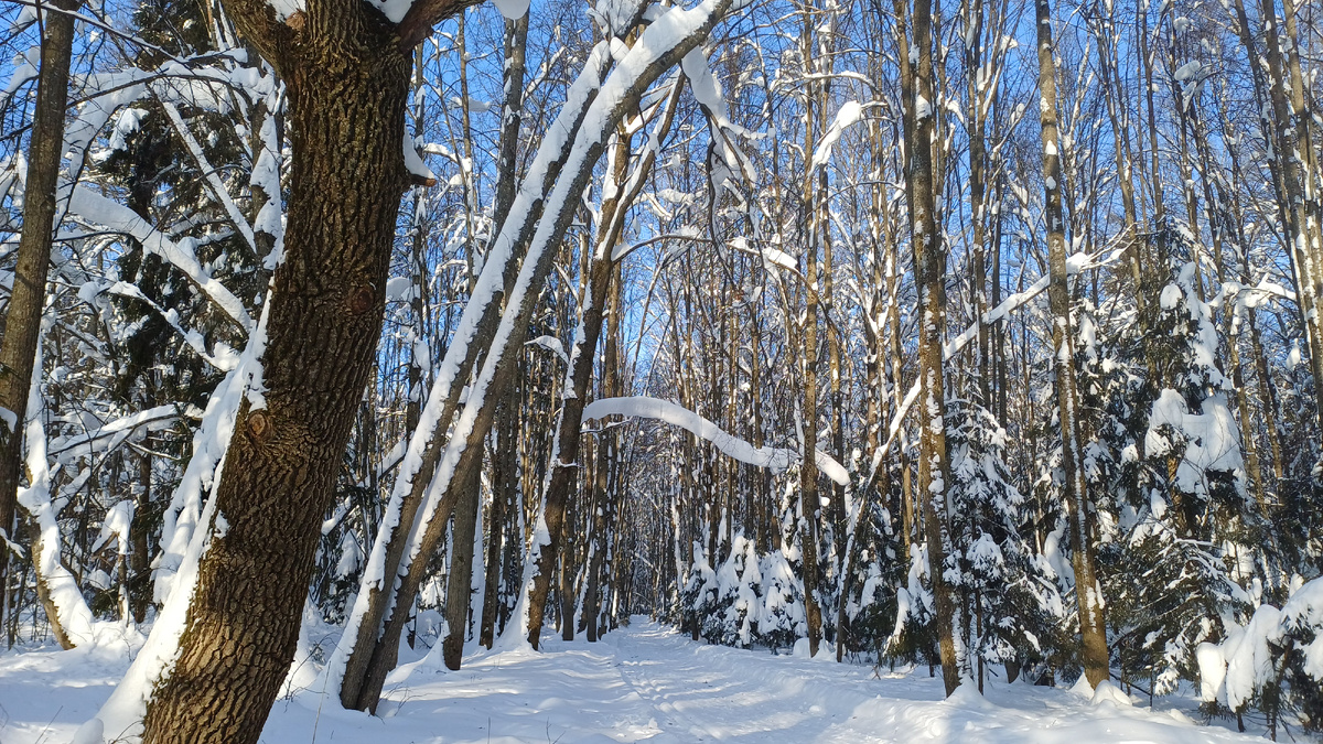 Фото Татьяны Федотовой