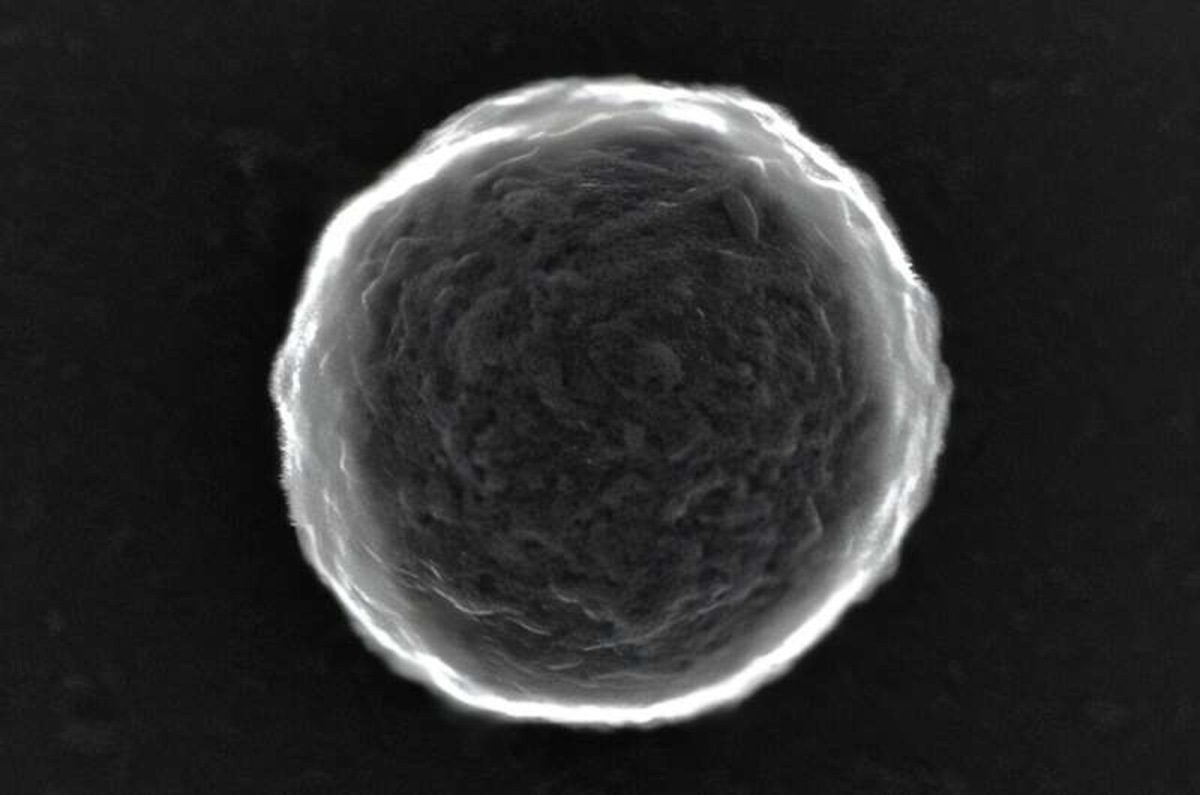    Изображение отдельного микропузырька, полученное с помощью сканирующей просвечивающей электронной микроскопии.