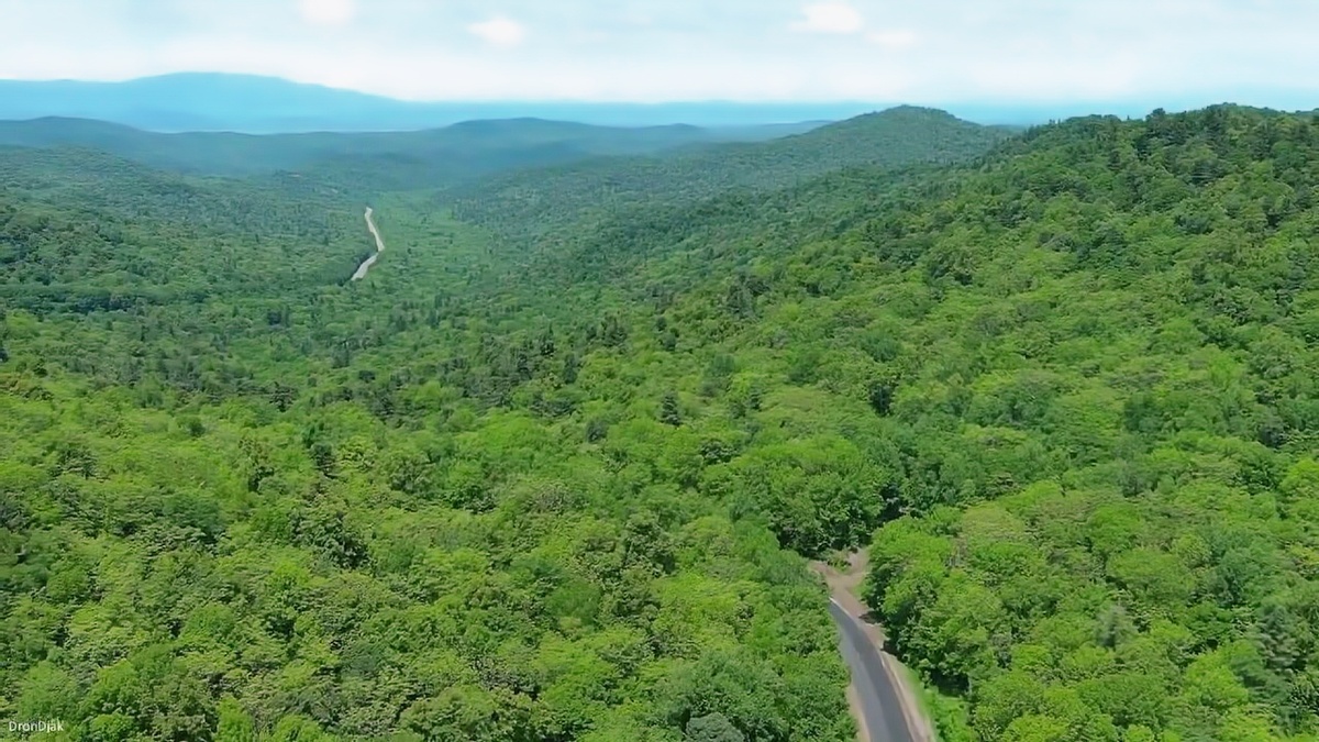 . Бескрайние кедрово-широколиственные леса уходят к горизонту, где виднеется Японское море. На переднем плане — цветущий рододендрон даурский. Координаты: 45°10′ с.ш. 135°30′ в.д., Приморский край. Высота над уровнем моря 1200 м. Температура воздуха +18°C, влажность 85%. Видимость — 60 км.