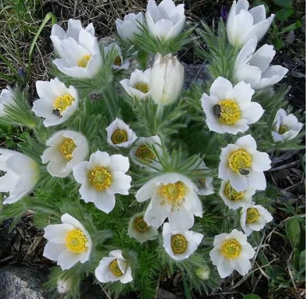 Фото из интернета. 