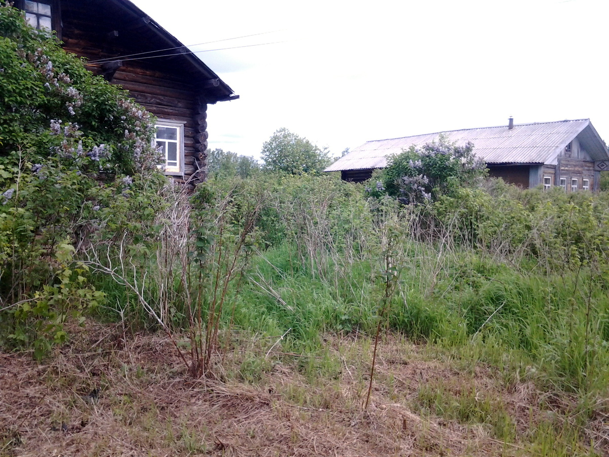 А теперь от неё осталось всего два дома...