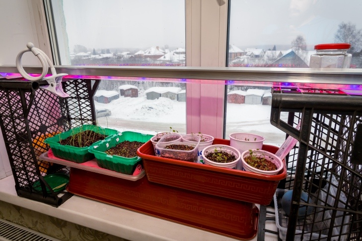    Фото Андрея Заржецкого