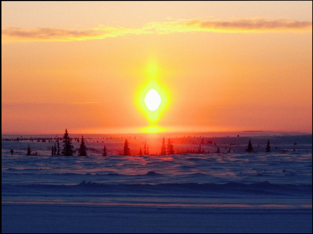 Последние следы Лесотундры. Фото: Михаил Рябинин