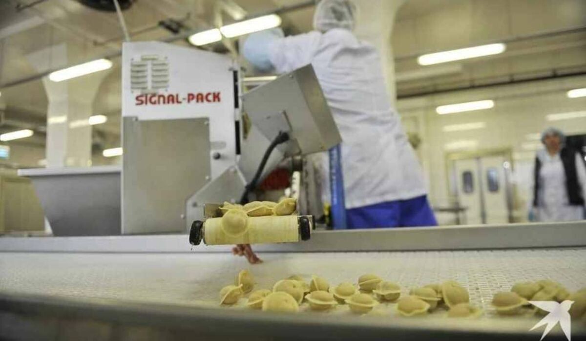     Изготовление пельменей. Источник: ural.kp.ru Автор фото: Алексей Булатов