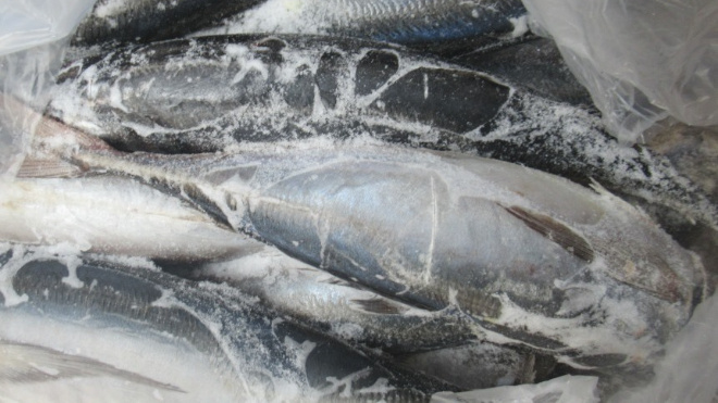 Фото: Пресс-служба Северо-Западного межрегионального управления Россельхознадзора