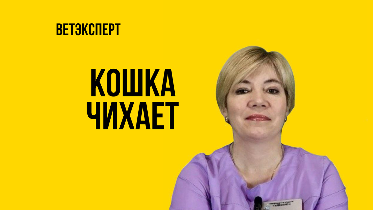 Любовь Шмидт, ветеринарный врач. Стаж более 23 лет