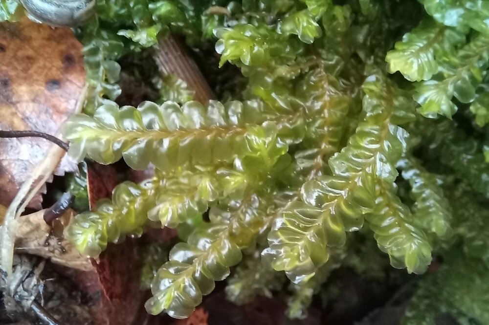    Фото: Из личного архивa/ Марина Привалова