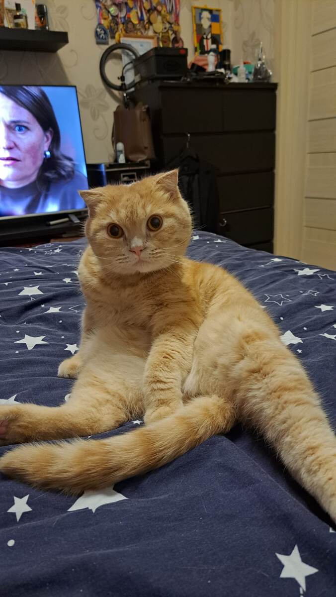 Отдых по расписанию. 