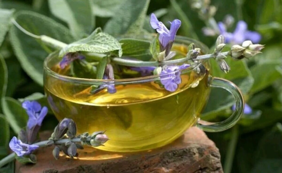 чай с шалфеем