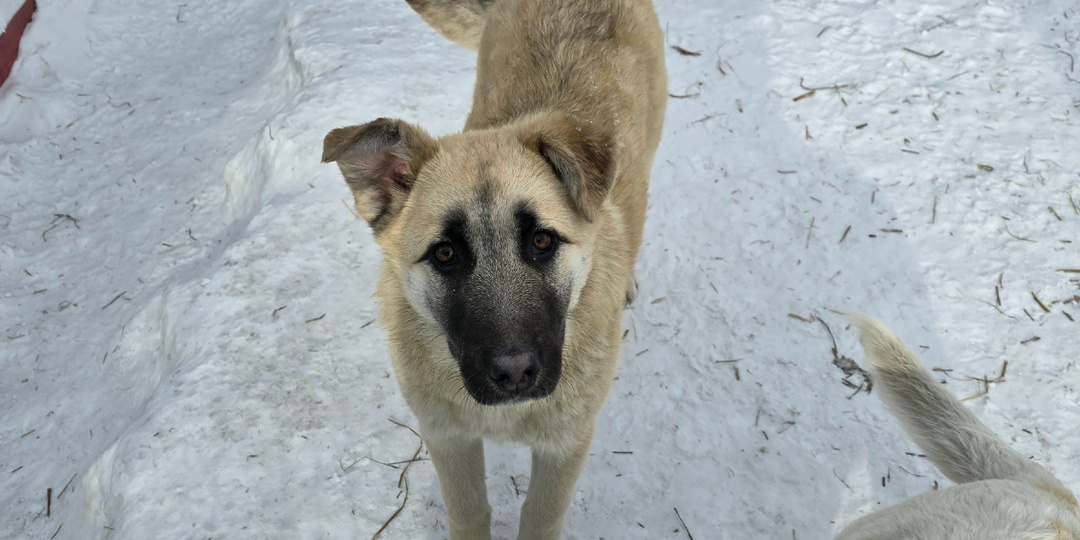 Я думаю о тебе.