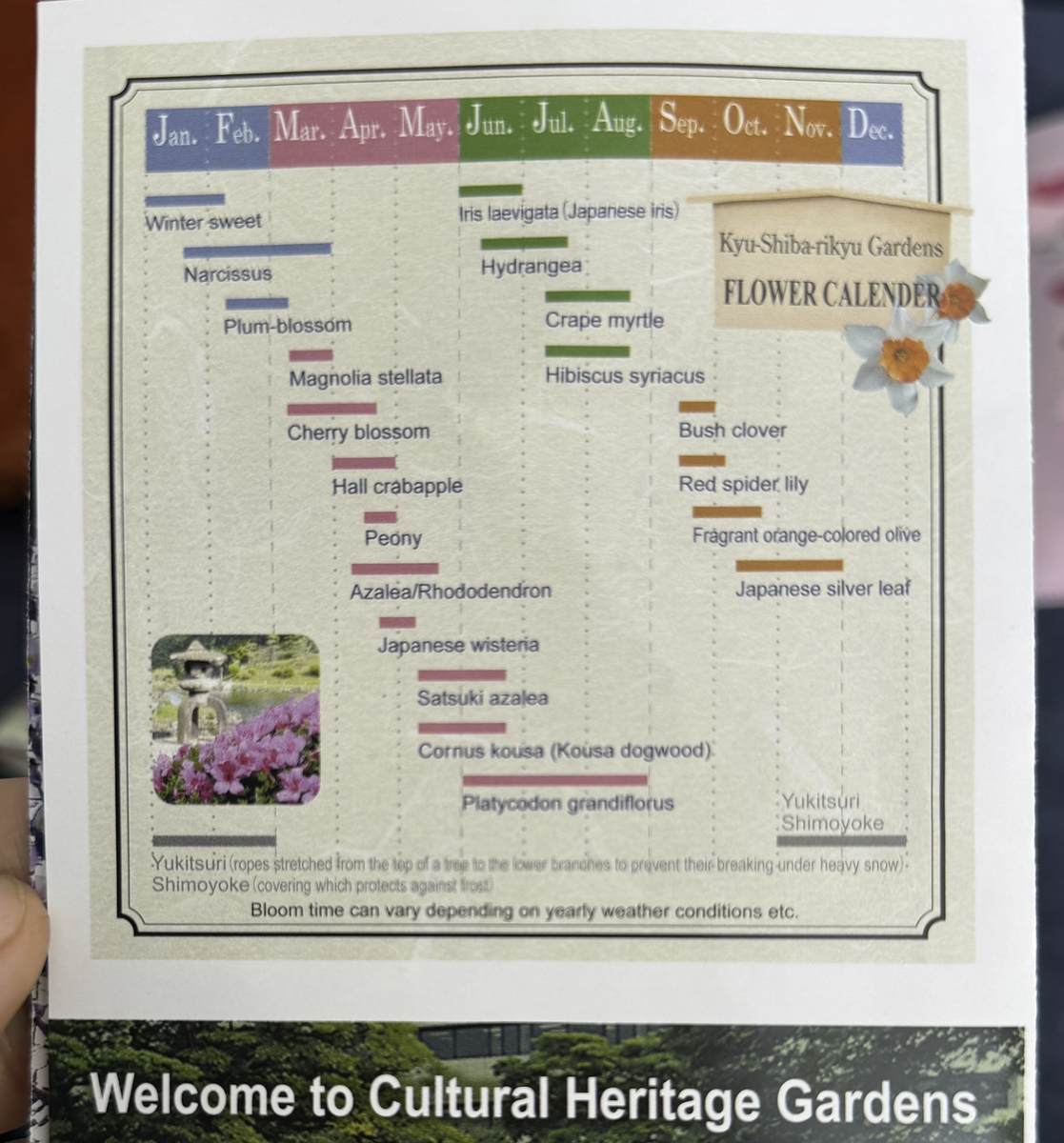 нашла этот буклет с расписанием цветения в одном из парков Токио 