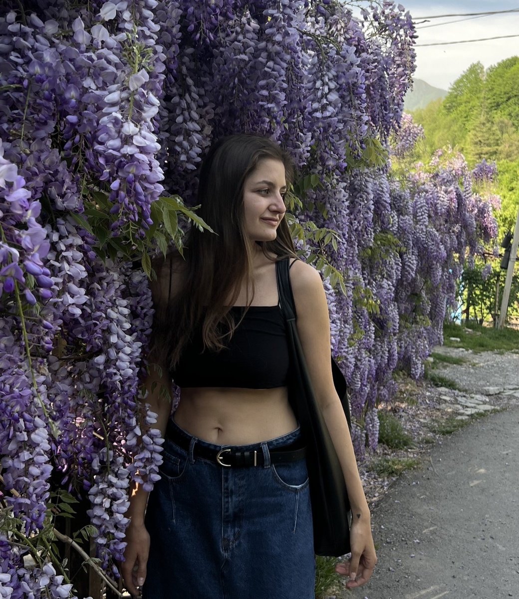 цветение глицинии в Сочи, например