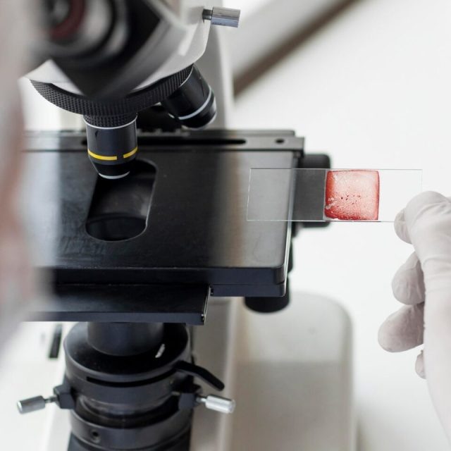 Фото из открытых источников.