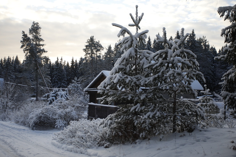    Фото: abn.agency