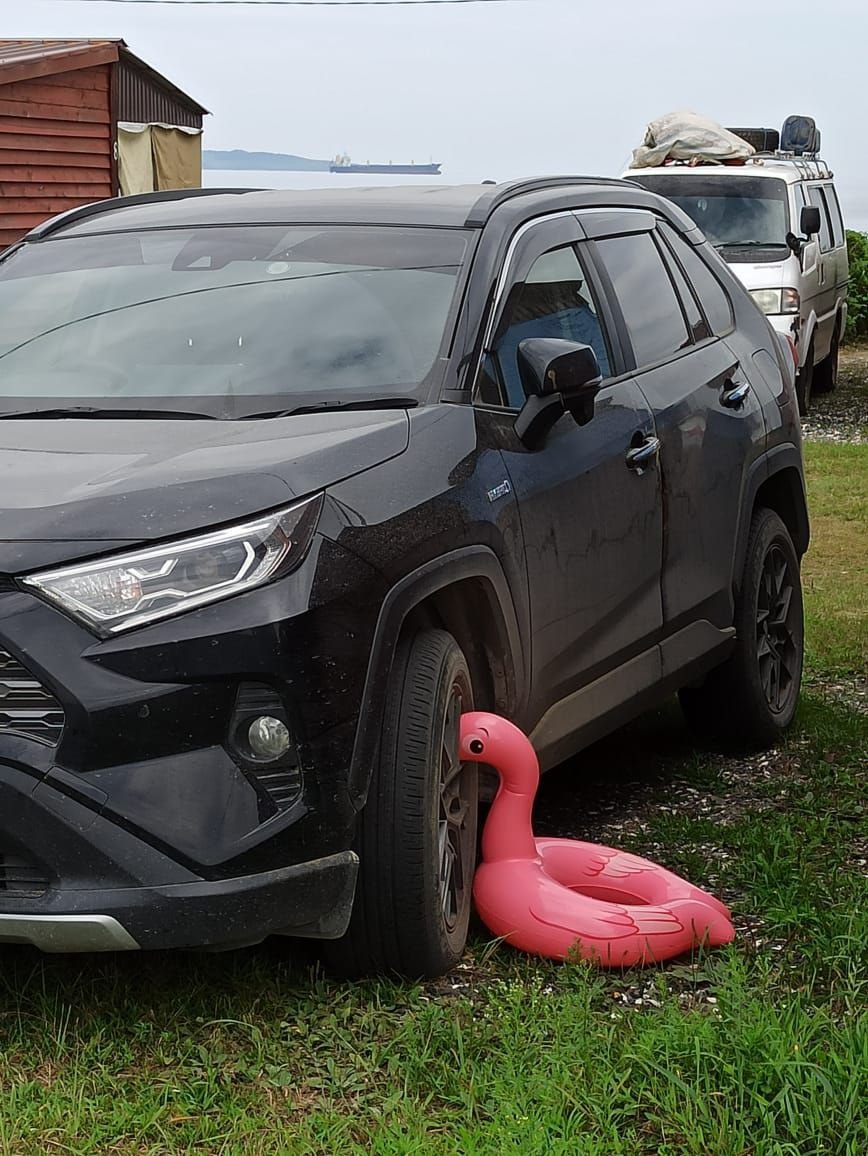 Может меня не заметят?