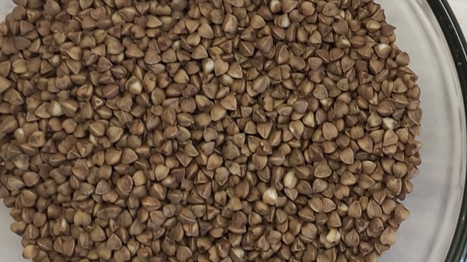 Почему стоит отказаться от гречки в пожилом возрасте. 7 причин для отмены и 5 полезных замен