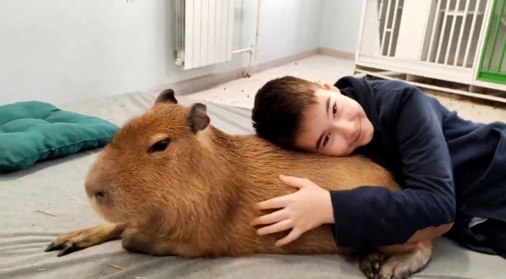 Фото: пресс-служба Минвостокразвития РФ