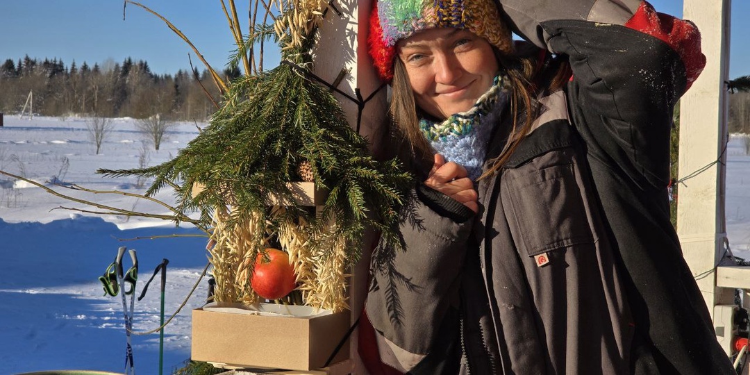 Кормушка для птиц за пол часа из картона и обрезков