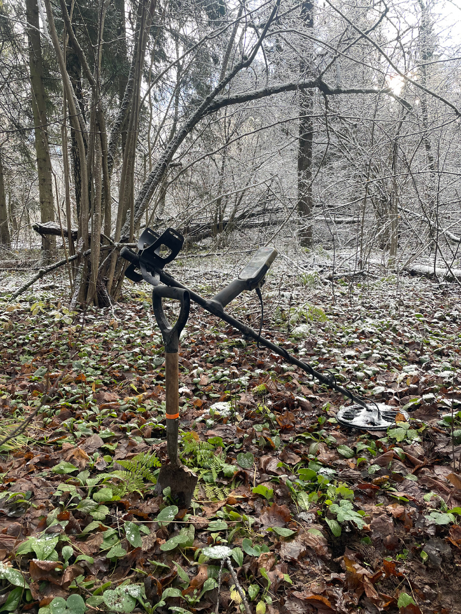 История случилась уже под занавес сезона