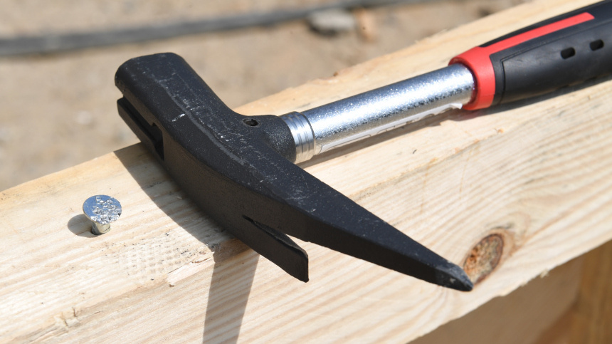    Фото: www.globallookpress.com/Stefan Sauer