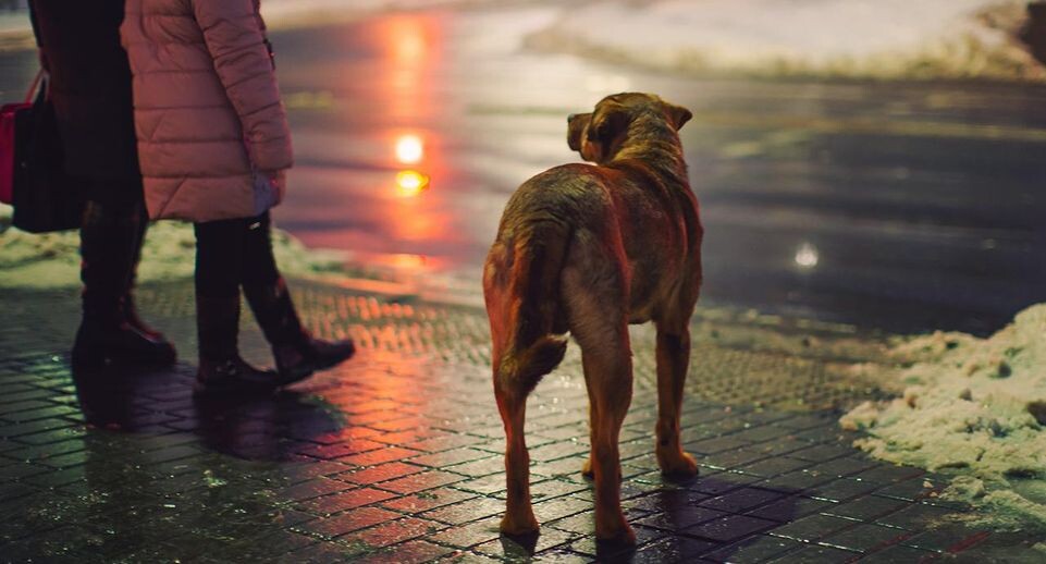    istockphoto.com/iiievgeniy