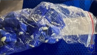    Фото ГУ МВД РФ по Самарской области