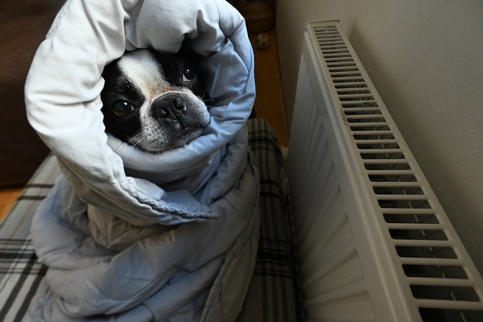    Тепло отключат с 9:00 утра до 20:00 вечера. Евгения ГУСЕВА