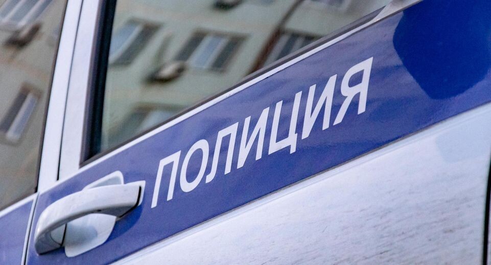    Oleg Spiridonov/Business Online / www.globallookpress.com