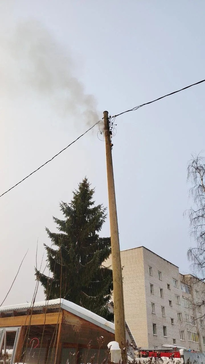    Фото: Госкомитет Карелии по ОЖ и БН