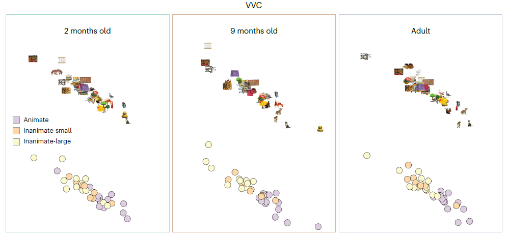   O’Doherty et al. / Nature Neuroscience, 2026