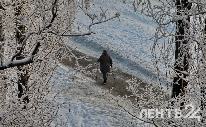    © Анастасия Илюшина / ЛенТВ24, архивное фото
