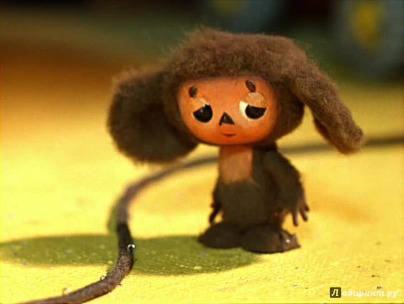 Фото из открытого источника Интернета