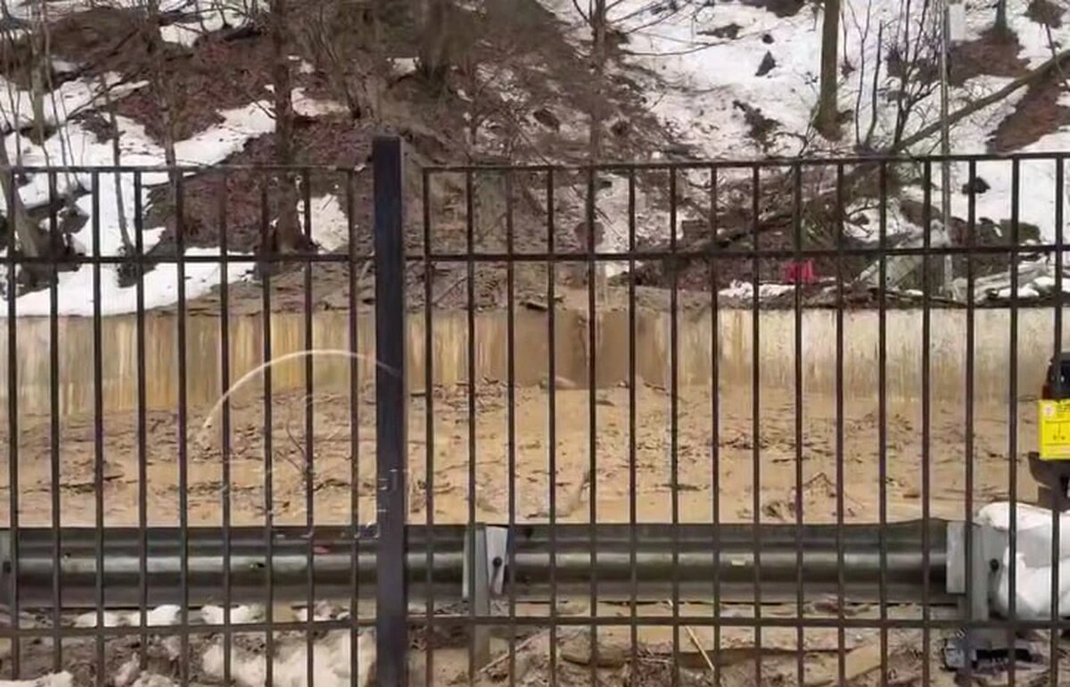    Скриншот видео t.me/love_sochi