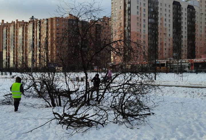 фото: Заневское городское поселение