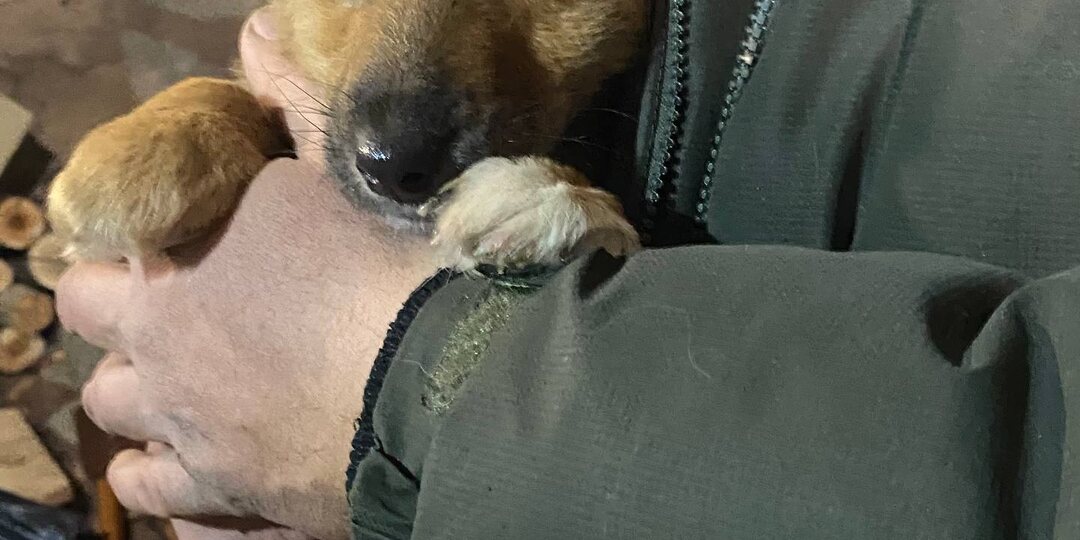 Помогите, пожалуйста, собрать на билетик домой для малышки из гаража