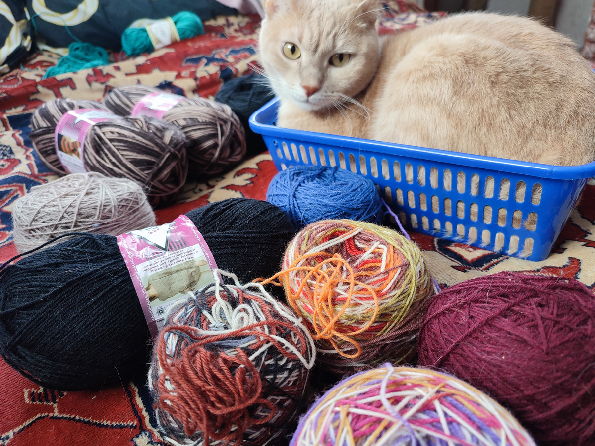 Кто будет вязать носки