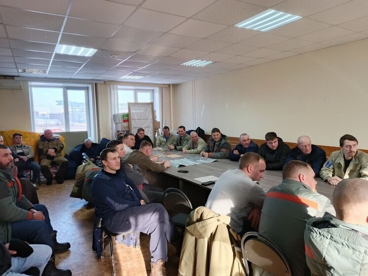     фото: телеграм-канал "Деплес Томской области"