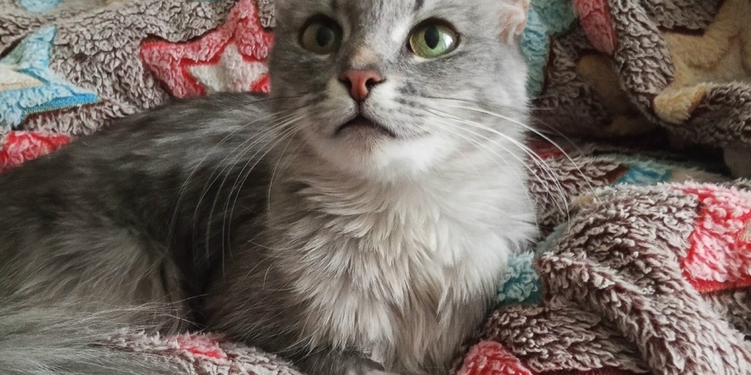 Герда потеряла дом, но поддержка добрых людей даёт ей надежду на счастливое будущее